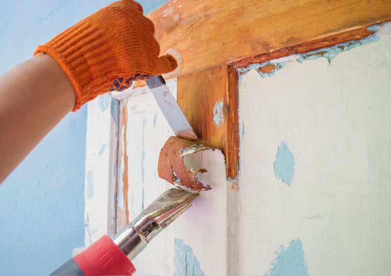 Door Varnish Removal